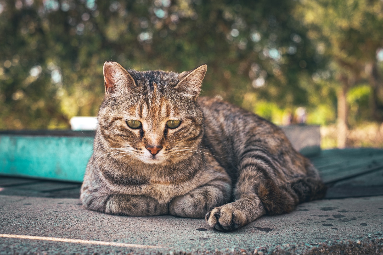 High-Rise Construction
