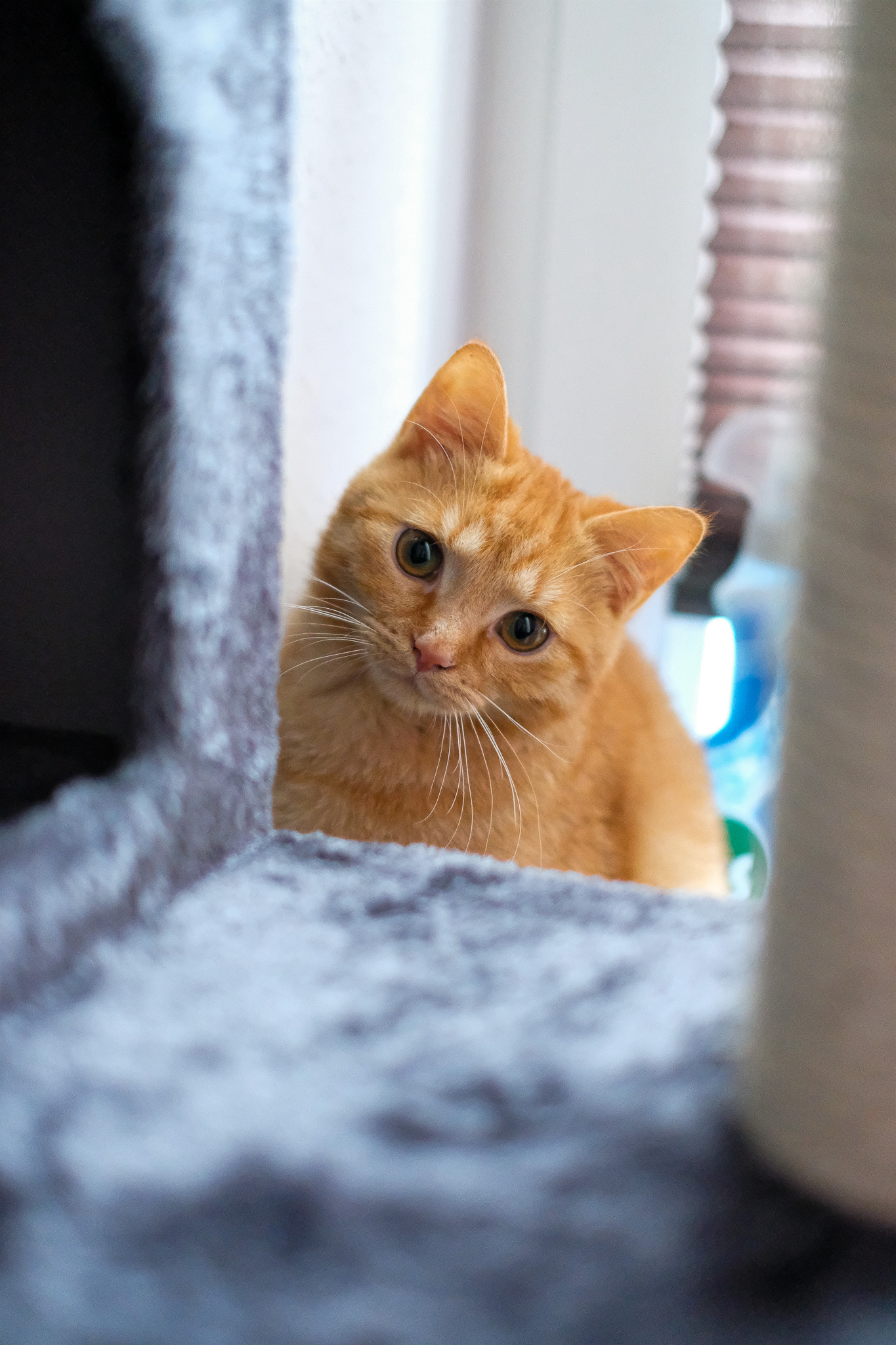 High-Rise Construction